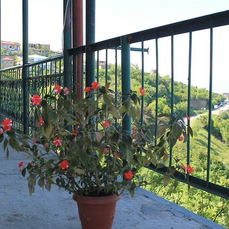 Guest House Shota Sighnaghi Exterior foto