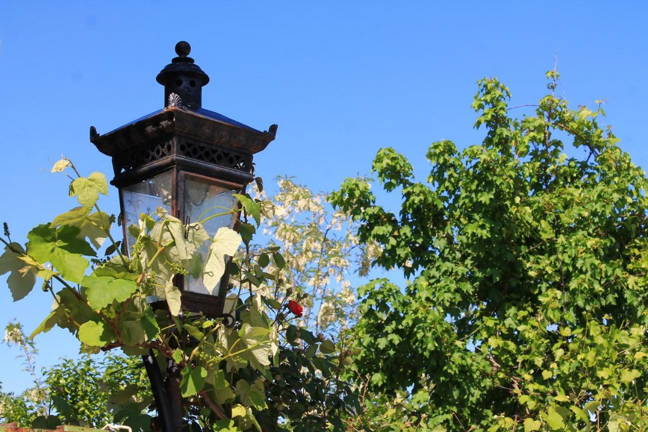 Guest House Shota Sighnaghi Exterior foto